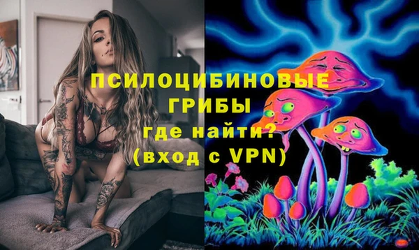 ALPHA PVP Алексеевка