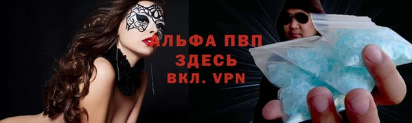 spice Алзамай