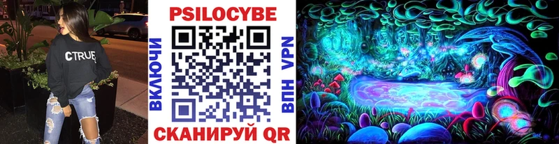 купить закладку  мега онион  Псилоцибиновые грибы Magic Shrooms  Салехард 